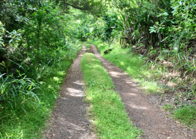 chemin